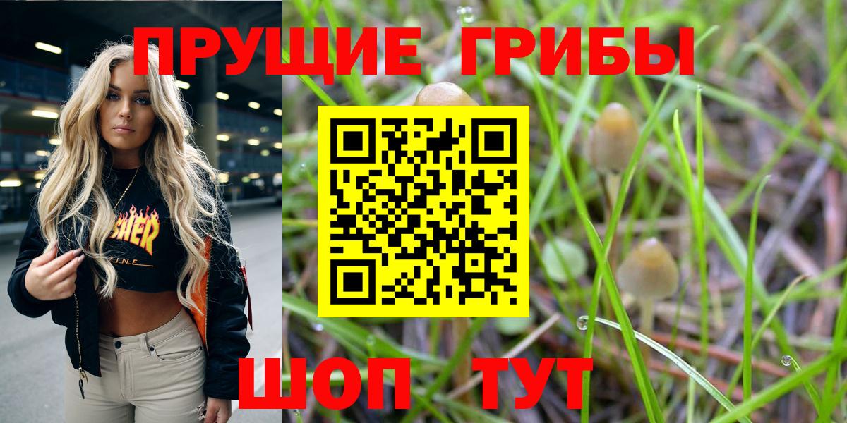 Галлюциногенные грибы ЛСД Ачинск